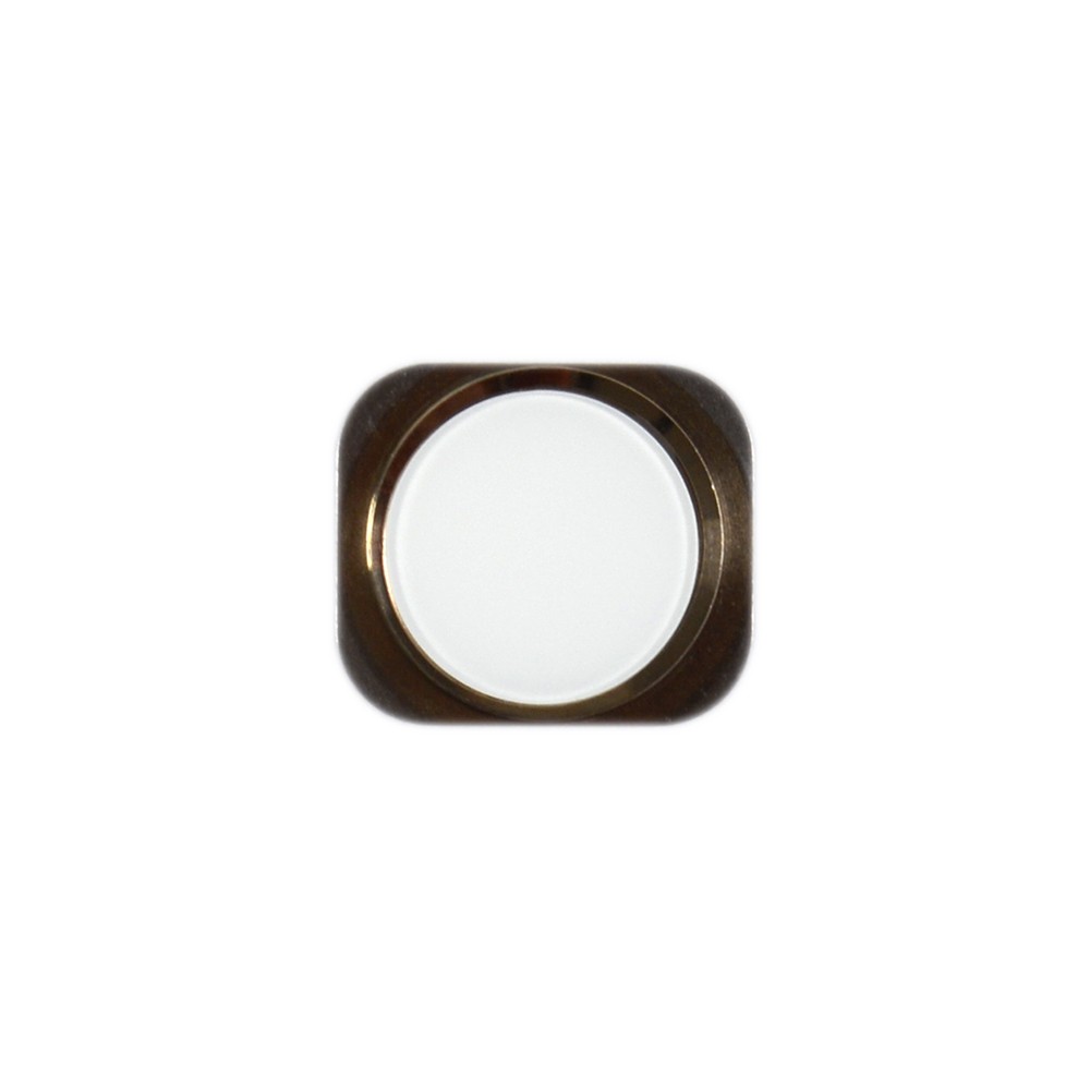 Наружная кнопка home для iPhone5S, цвет белый фото 1