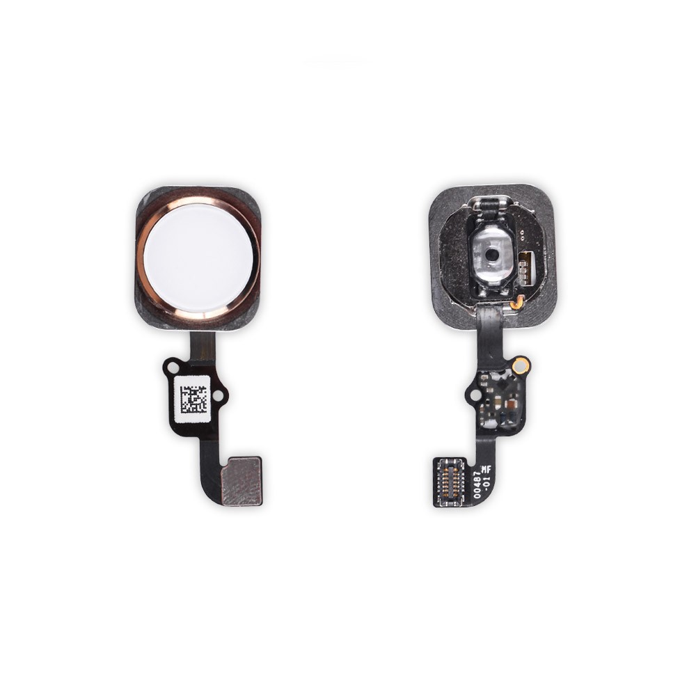 Flat Cable iPhone 6S (4.7)/6S Plus (5.5) with Home button outside (gold) фото 1 Кнопка home iPhone 6S, 6S Plus, колір золотий фото 1