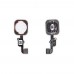 Flat Cable iPhone 6S (4.7)/6S Plus (5.5) with Home button outside (gold) миниатюра 1 Кнопка home iPhone 6S, 6S Plus, колір золотий миниатюра 1