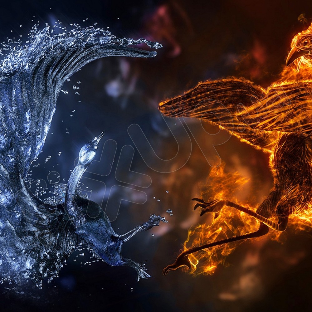 Антенний блок у зборі з поліфонічним динаміком для iPad 3 фото 2